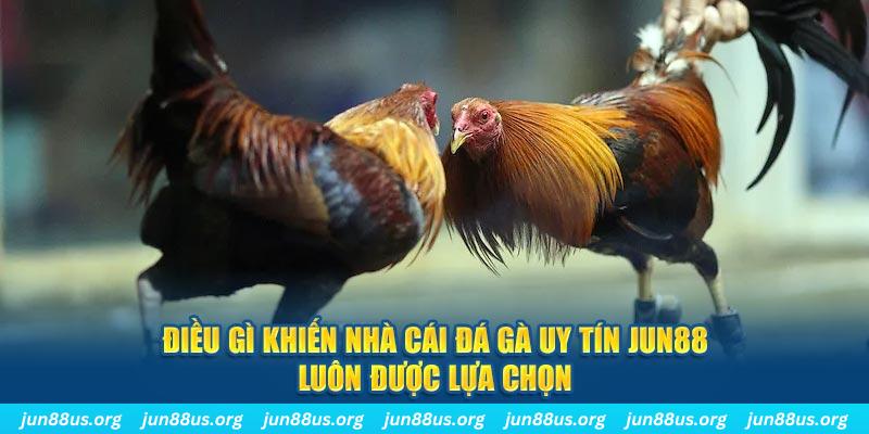bắn cá 30