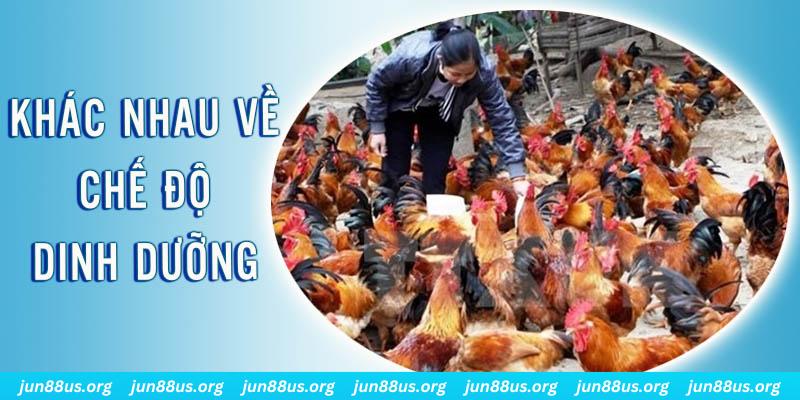 game b52 xổ số thứ sáu hàng tuần