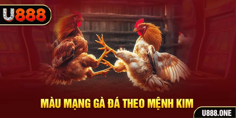 game b52 gà chọi tiêu phong