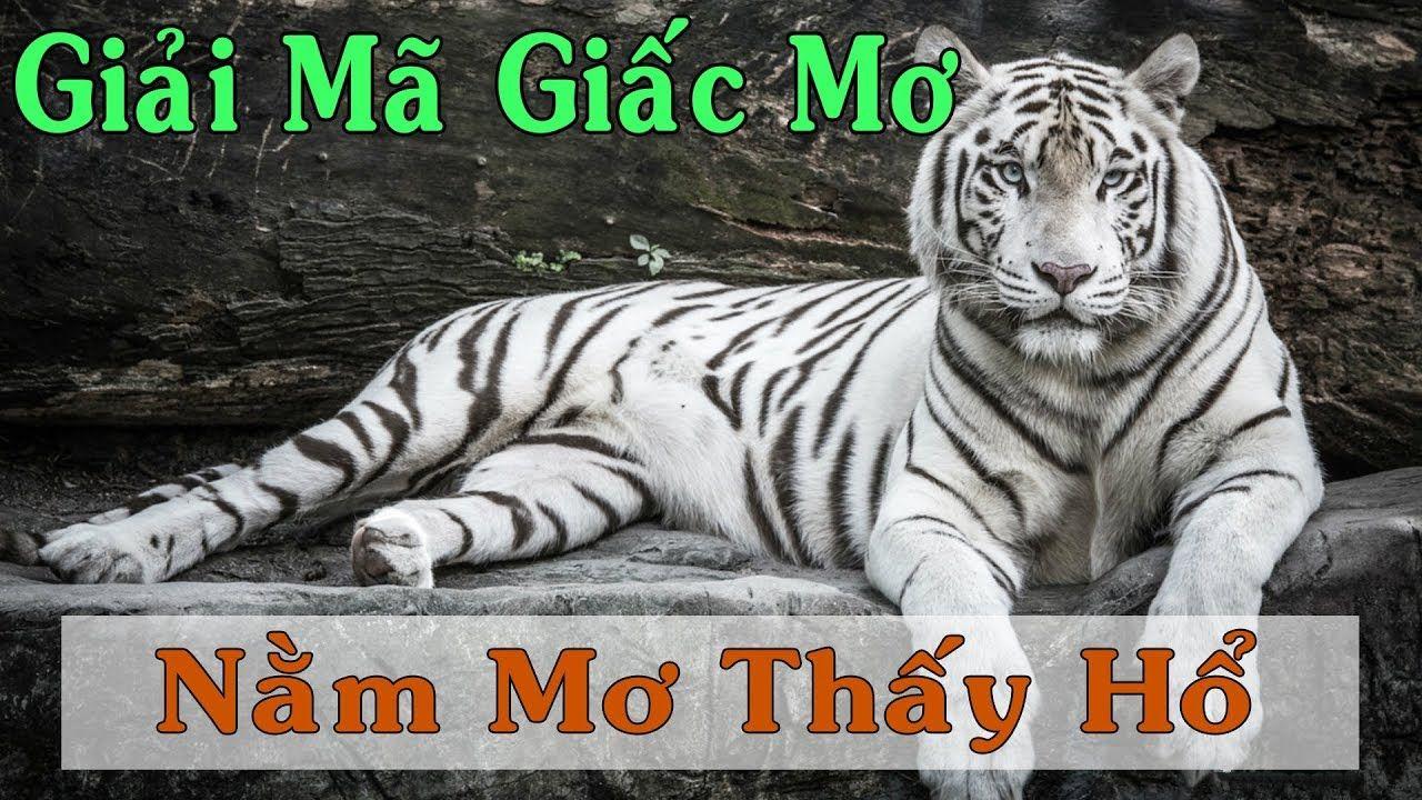 game b52 xổ số miền trung
