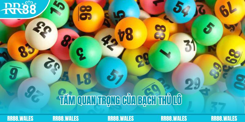 game b52 Ws168 Đá Gà