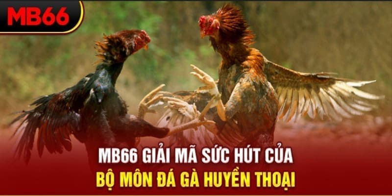 game b52 long bảo trong baccarat là gì