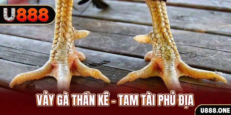 xổ số 30 ngày