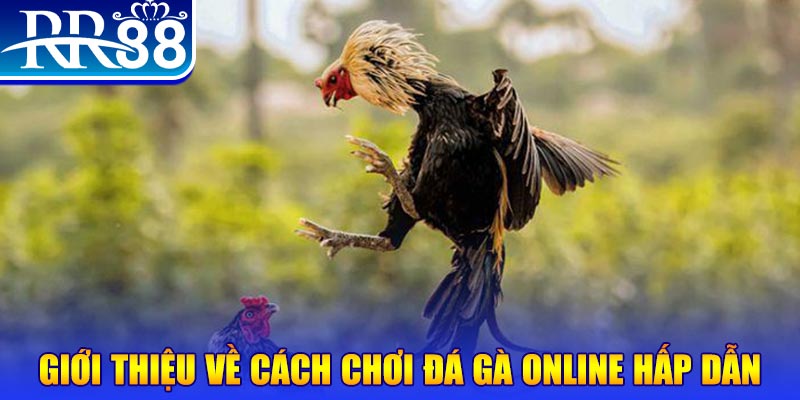 game b52 nổ hũ 2 mặt là gì