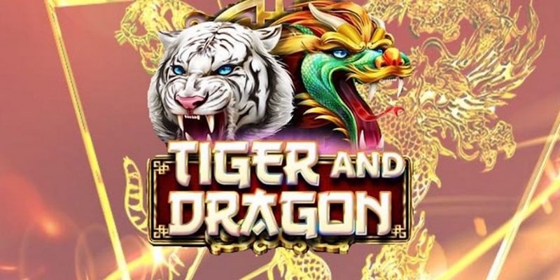 game b52 cá cược tiếng anh là gì