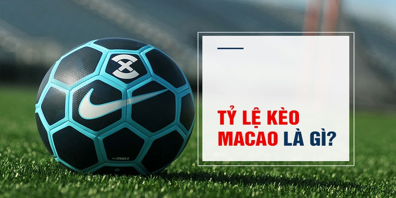 game b52 Trăm Knorr